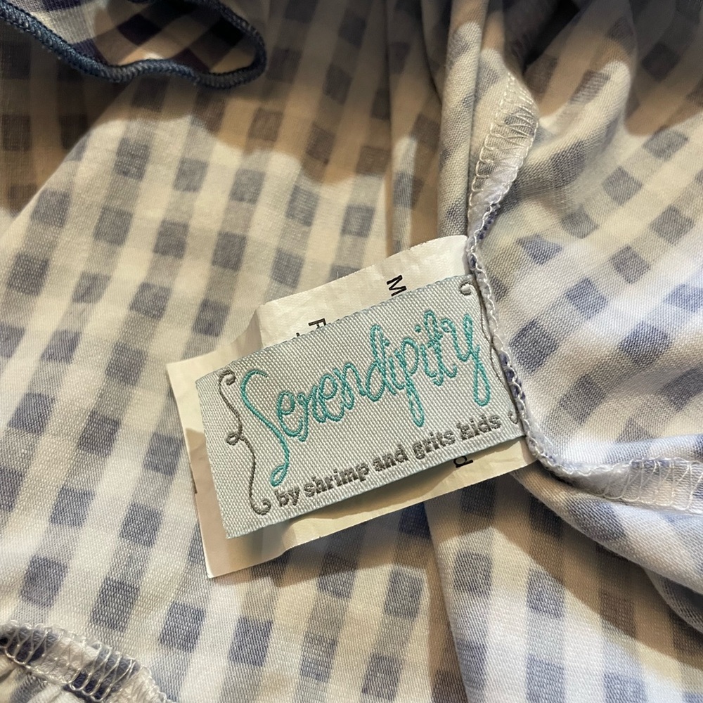 Serendipity Blue Gingham Dress - Picture 4 of 6